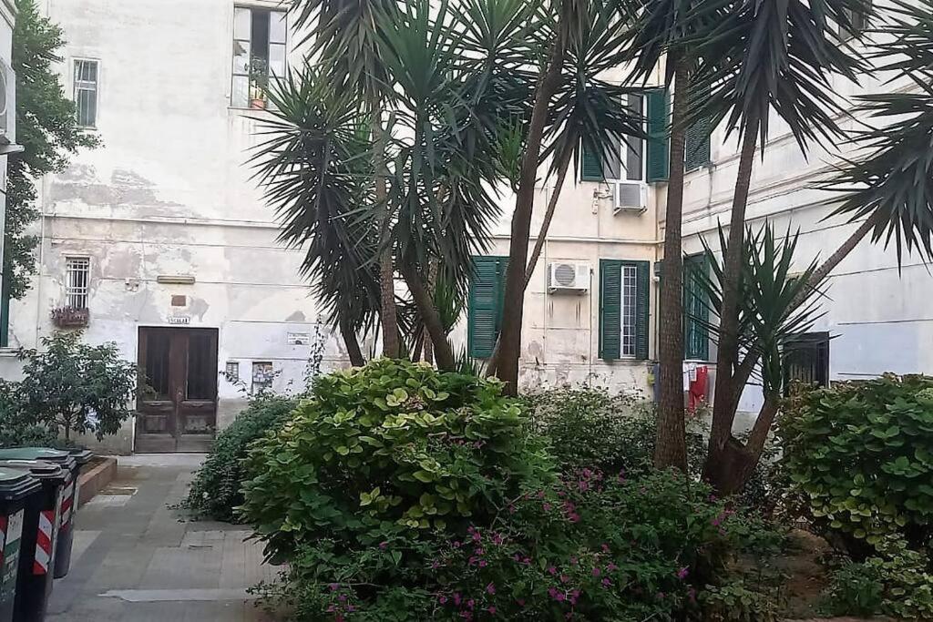 Cozy Flat In Testaccio روما المظهر الخارجي الصورة
